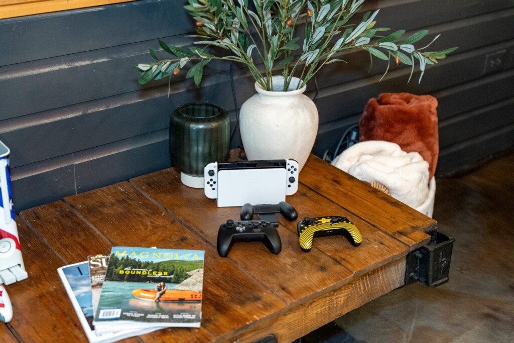 Nintendo Switch console and controllers on a rustic table with plants
