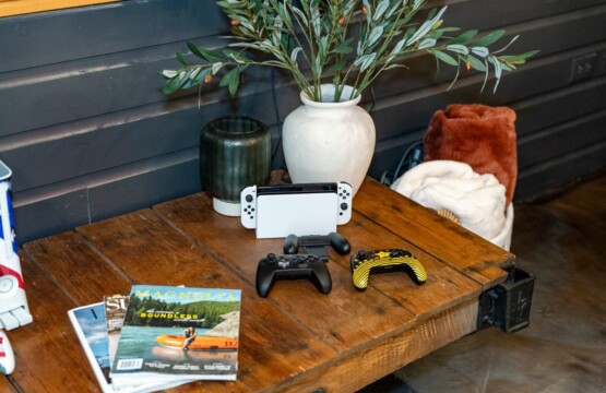 Nintendo Switch console and controllers on a rustic table with plants