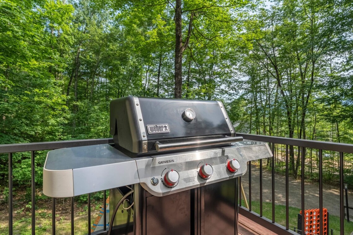 Weber gas grill on the deck overlooking the wooded backyard